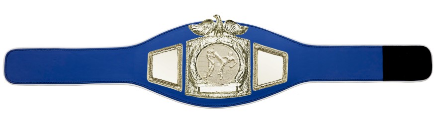 PROEAGLE KICKBOXING CHAMPIONSHIP BELT - PROEAGLE/G/KBOG - AVAILABLE IN 6+ COLOURS PROEAGLE KICKBOXING CHAMPIONSHIP BELT - PROEAGLE/G/KBOG - AVAILABLE IN 6+ COLOURS